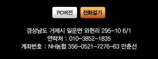 카피부분