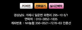 카피부분